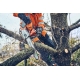 Pilarki łańcuchowe - Akumulatorowa pilarka łańcuchowa Husqvarna T542i XP® do pielęgnacji drzew