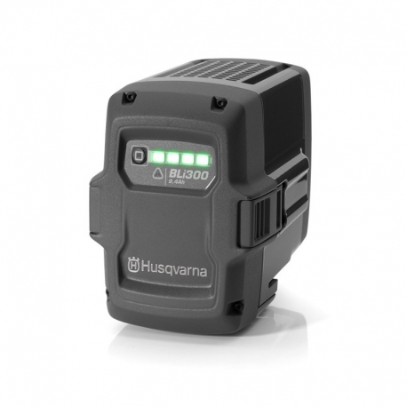 Akumulator BLi300